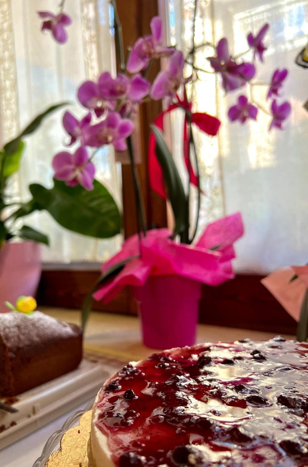Il Ritrovo Delle Volpi Acomodação com café da manhã Agerola Exterior foto